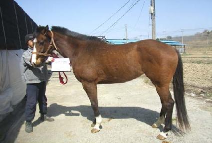 ������� ����