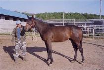 ���ǳ� (PEPPONE) ����