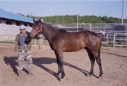 ���ǳ� ����