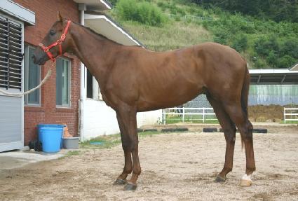 ������ȭ ����