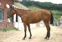 ��Ȱ� (BAMANGAE) ����