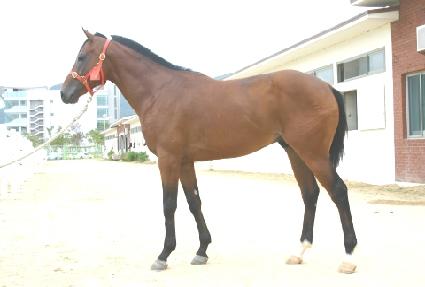 �ٸ��� ����