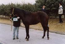 �뿵�� (DAEYEONGJU) ����