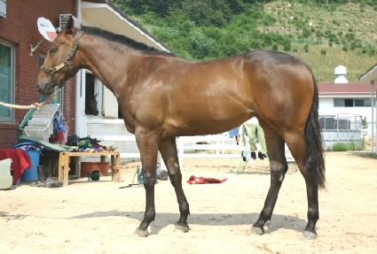 ��ô ����