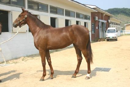 ���� ����