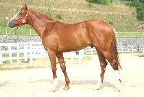 �ͷ����߰� (MANGNEOLHANCHUGEOK) ����