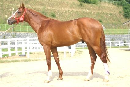 �ͷ����߰� ����