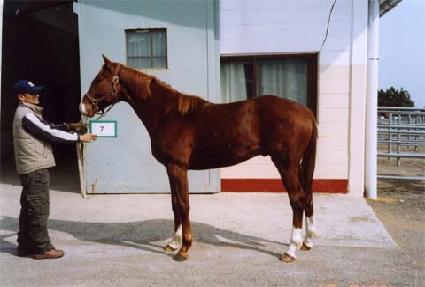 ó������ ����