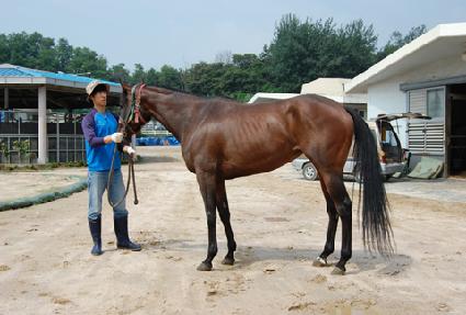 ���� ����