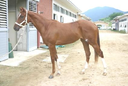 ��ġ�� ����