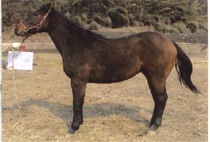 �������� ����