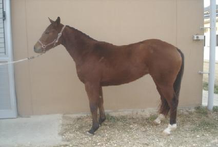 Ȳ�ݴ�� ����