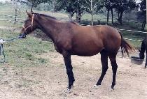 ���� (MUKYANG) ����