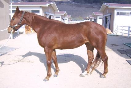 ���Ͽ��� ����