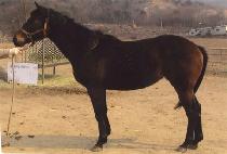 �����̵� (SUNGAN  IDONG) ����