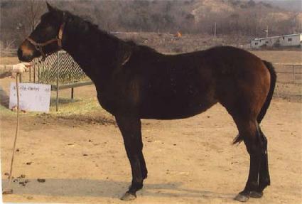 �����̵� ����