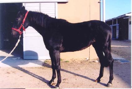 ����ġ�� ����