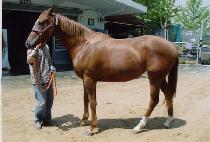 �ڿ��� (JAYEONSEOK) ����