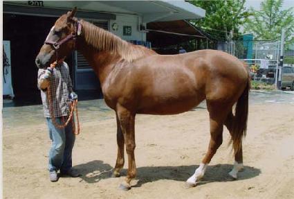 �ڿ��� ����