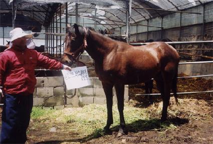 �������� ����