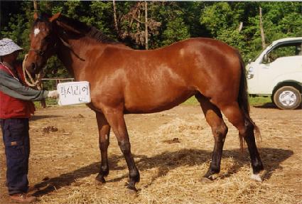 ���������� ����