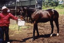 �����ֿ� (HYEUKSIN JUYEOK) ����