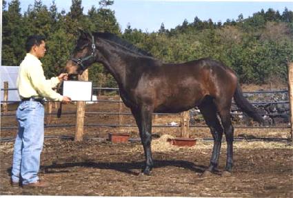 ���迭ǳ ����