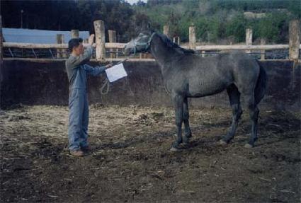 ���긶�� ����