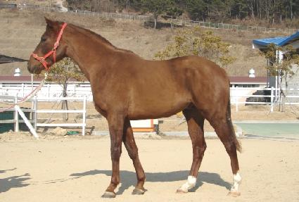 ���� ����