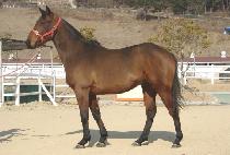 ���̿��� (NAMI OREUM) ����