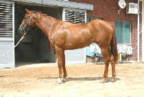 �������� (ROSE QUARTZ) ����