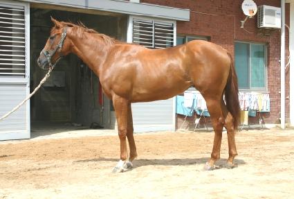 �������� ����