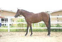 �ٽ¿� (DASEUNGWANG) ����