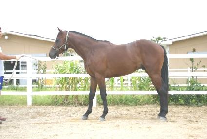 �ٽ¿� ����