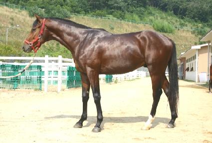 �бǺ��� ����