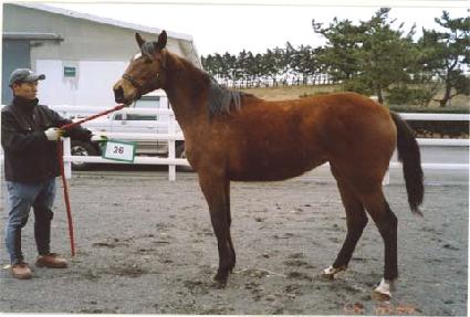 �Ű��� ����