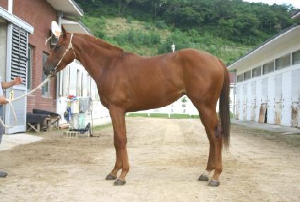 ���ĸ��� ����