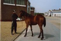 �뼳�� (DAESEOLBONG) ����