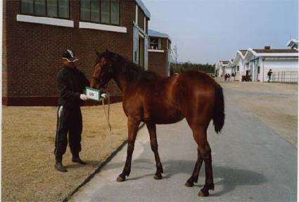 �뼳�� ����