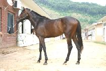 ǳ�� (PUNGGWANG) ����