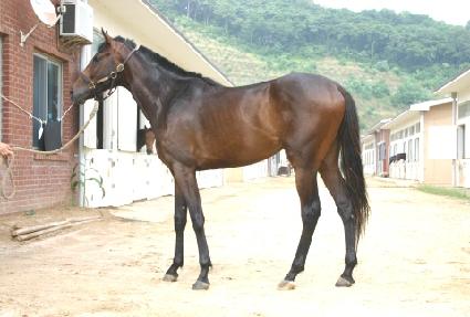 ǳ�� ����