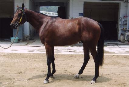 ��ī���� ����