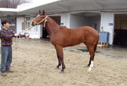 ��ӵ��� ����