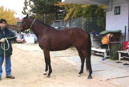 �������� ����