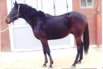 �켮�޾Ƹ� ����