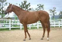 ���� (MYEONGJUNG) ����