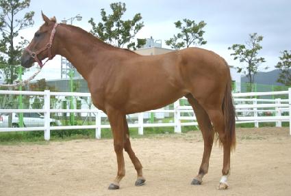 ���� ����