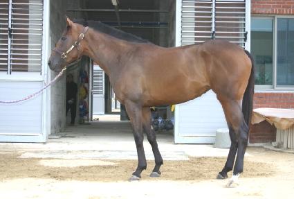 �����¾� ����