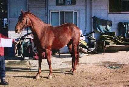 û�� ����