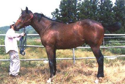 �����ǹ��� ����